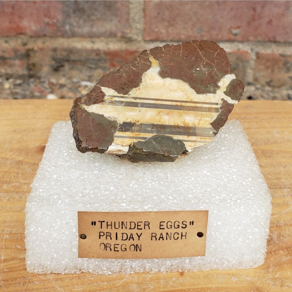 Thunder Egg‎ Polished, Priday Ranch Oregon, 78g Estate Specimen